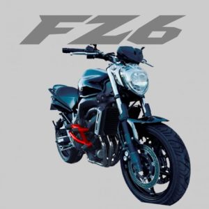 STUNT CAGE FZ6 FAZER 600   2011/2018