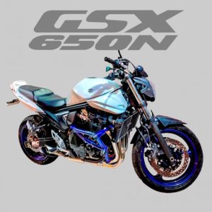PROTETOR STUNT CAGE GSX 650 N/S   2008 EM DIANTE