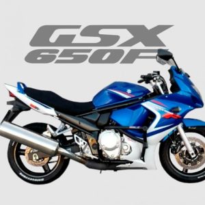 PROTETOR STUNT CAGE GSX 650F   2008 EM DIANTE