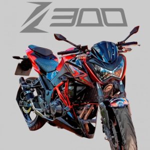 PROTETOR STUNT CAGE Z 300