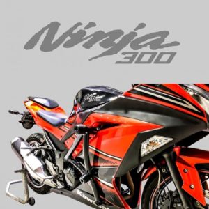PROTETOR STUNT CAGE NINJA 300   2013/2018