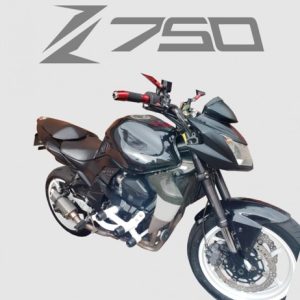 PROTETOR STUNT CAGE Z 750   2008/2012